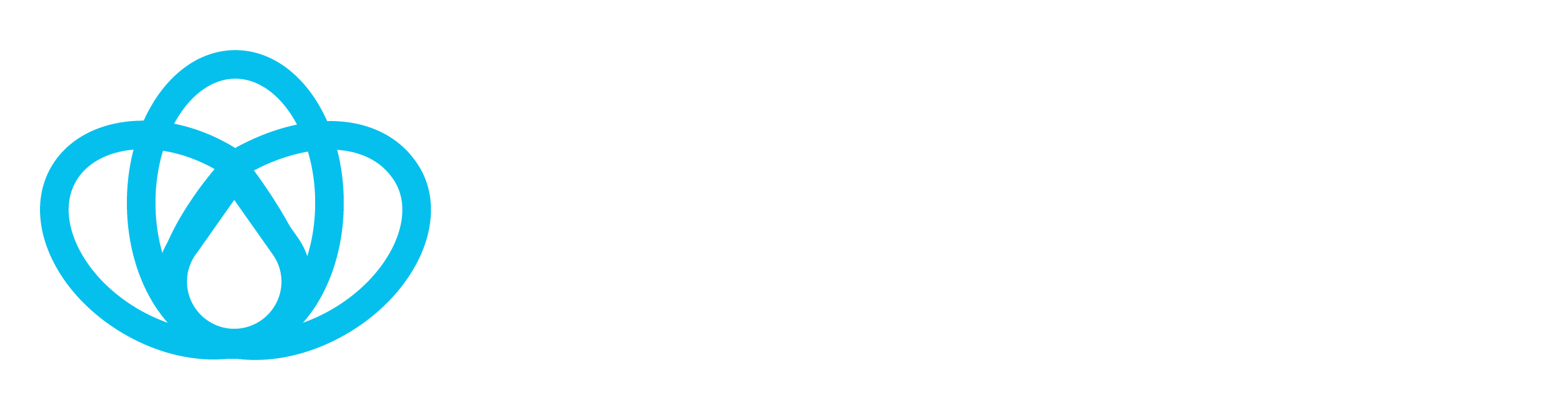 UMPIRE logo